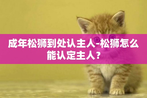 成年松獅到處認主人-松獅怎么能認定主人？