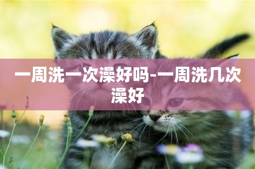 一周洗一次澡好嗎-一周洗幾次澡好