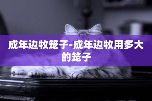 成年邊牧籠子-成年邊牧用多大的籠子