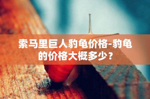 索馬里巨人豹龜價格-豹龜的價格大概多少？