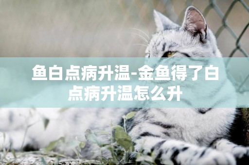 魚白點病升溫-金魚得了白點病升溫怎么升
