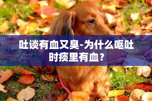 吐談有血又臭-為什么嘔吐時痰里有血？