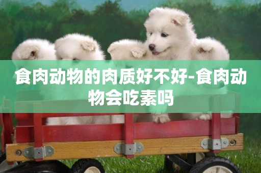 食肉動物的肉質好不好-食肉動物會吃素嗎