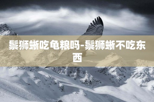 鬃獅蜥吃龜糧嗎-鬃獅蜥不吃東西