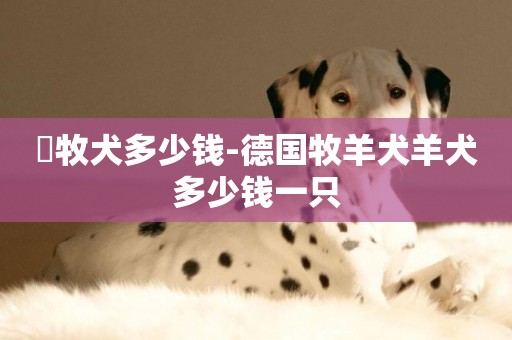 徳牧犬多少錢-德國牧羊犬羊犬多少錢一只