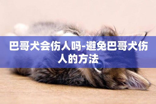 巴哥犬會傷人嗎-避免巴哥犬傷人的方法