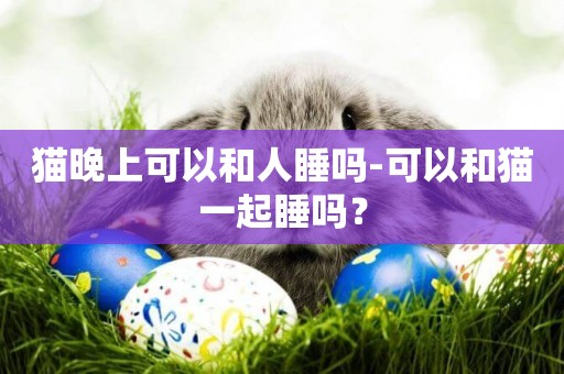 貓晚上可以和人睡嗎-可以和貓一起睡嗎？