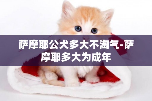 薩摩耶公犬多大不淘氣-薩摩耶多大為成年