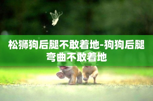 松獅狗后腿不敢著地-狗狗后腿彎曲不敢著地