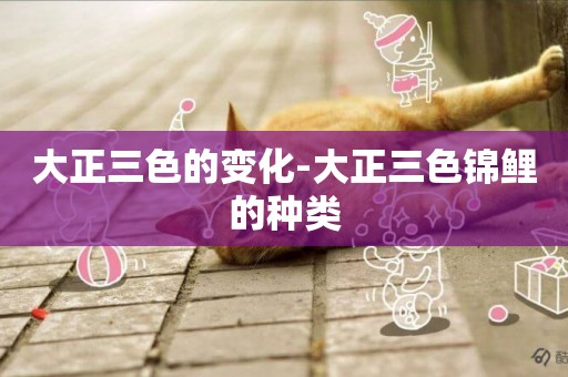 大正三色的變化-大正三色錦鯉的種類