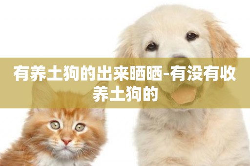 有養土狗的出來曬曬-有沒有收養土狗的