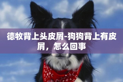 德牧背上頭皮屑-狗狗背上有皮屑，怎么回事