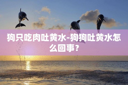 狗只吃肉吐黃水-狗狗吐黃水怎么回事？