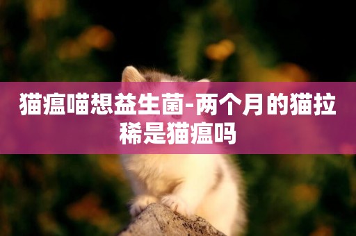 貓瘟喵想益生菌-兩個月的貓拉稀是貓瘟嗎