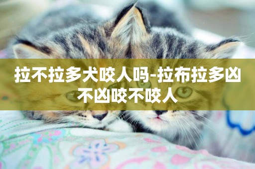 拉不拉多犬咬人嗎-拉布拉多兇不兇咬不咬人