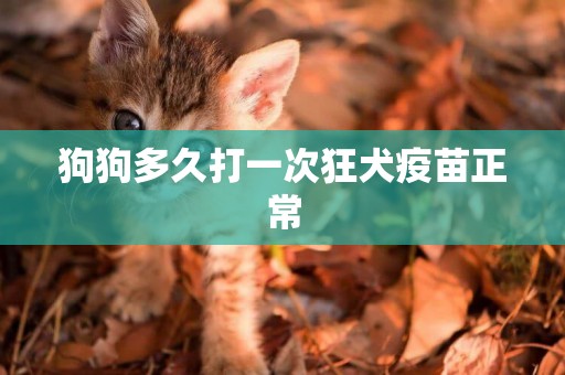 狗狗多久打一次狂犬疫苗正常