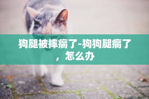 狗腿被摔瘸了-狗狗腿瘸了，怎么辦