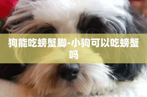 狗能吃螃蟹腳-小狗可以吃螃蟹嗎