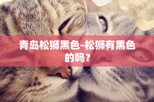 青島松獅黑色-松獅有黑色的嗎？