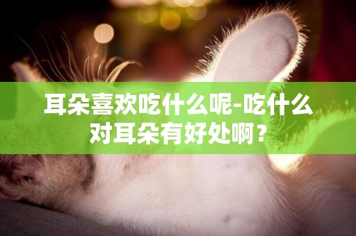 耳朵喜歡吃什么呢-吃什么對耳朵有好處啊？