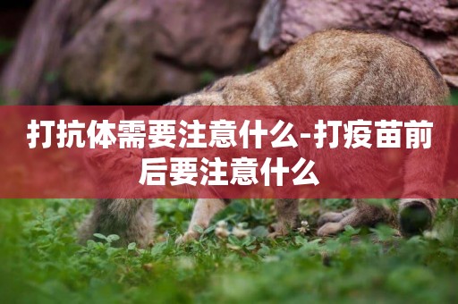 打抗體需要注意什么-打疫苗前后要注意什么