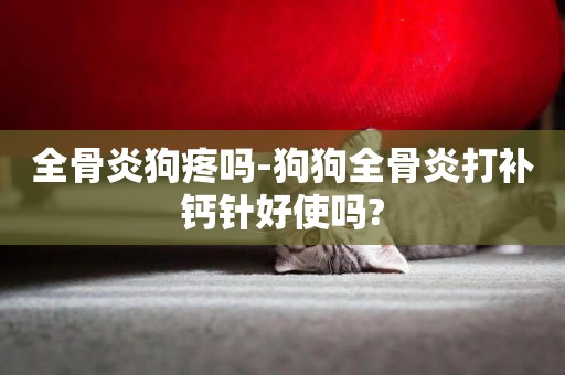 全骨炎狗疼嗎-狗狗全骨炎打補鈣針好使嗎?