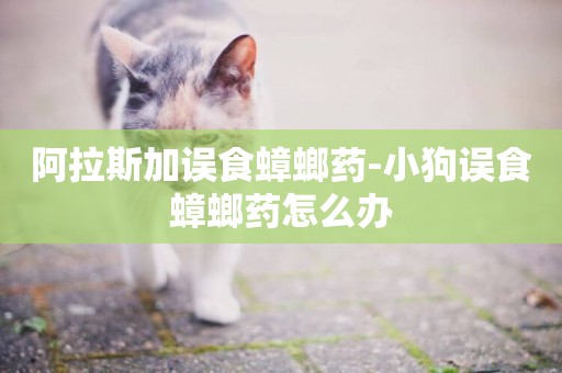阿拉斯加誤食蟑螂藥-小狗誤食蟑螂藥怎么辦