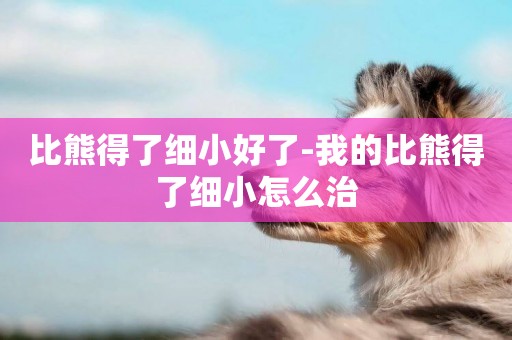 比熊得了細小好了-我的比熊得了細小怎么治