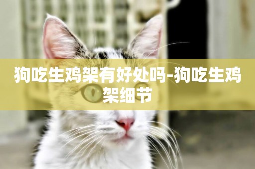 狗吃生雞架有好處嗎-狗吃生雞架細節