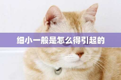 細小一般是怎么得引起的