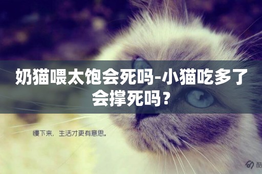 奶貓喂太飽會死嗎-小貓吃多了會撐死嗎？