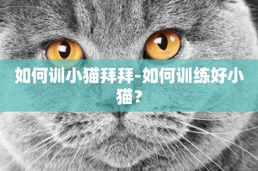 如何訓小貓拜拜-如何訓練好小貓？