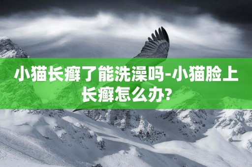小貓長癬了能洗澡嗎-小貓臉上長癬怎么辦?