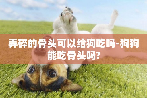 弄碎的骨頭可以給狗吃嗎-狗狗能吃骨頭嗎?