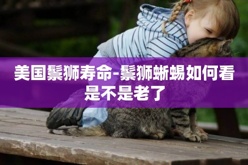 美國鬃獅壽命-鬃獅蜥蜴如何看是不是老了