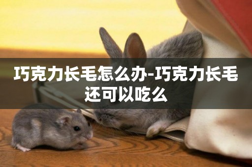 巧克力長毛怎么辦-巧克力長毛還可以吃么