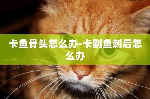 卡魚骨頭怎么辦-卡到魚刺后怎么辦