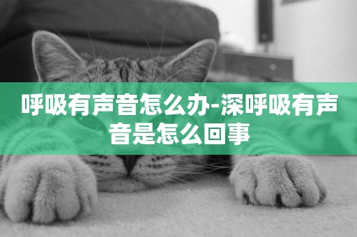 呼吸有聲音怎么辦-深呼吸有聲音是怎么回事