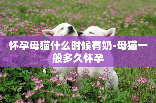懷孕母貓什么時候有奶-母貓一般多久懷孕