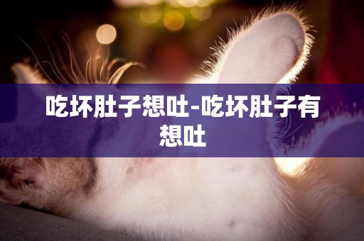 吃壞肚子想吐-吃壞肚子有想吐