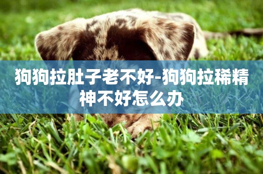 狗狗拉肚子老不好-狗狗拉稀精神不好怎么辦