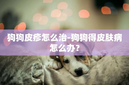 狗狗皮疹怎么治-狗狗得皮膚病怎么辦？