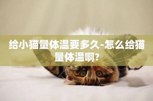 給小貓量體溫要多久-怎么給貓量體溫啊?