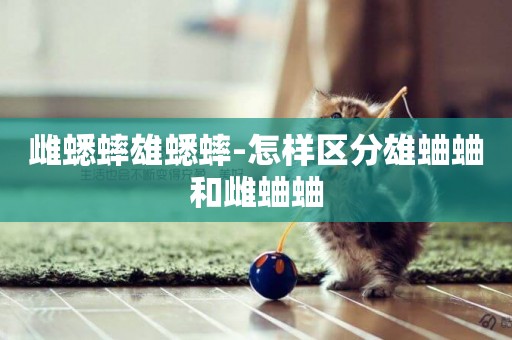 雌蟋蟀雄蟋蟀-怎樣區分雄蛐蛐和雌蛐蛐