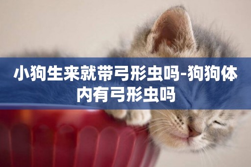 小狗生來就帶弓形蟲嗎-狗狗體內有弓形蟲嗎