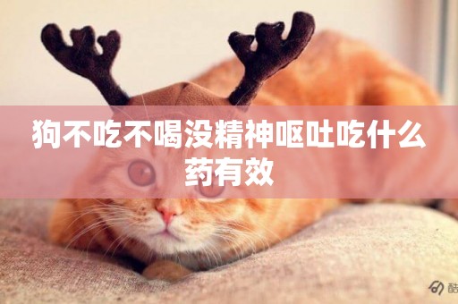 狗不吃不喝沒精神嘔吐吃什么藥有效