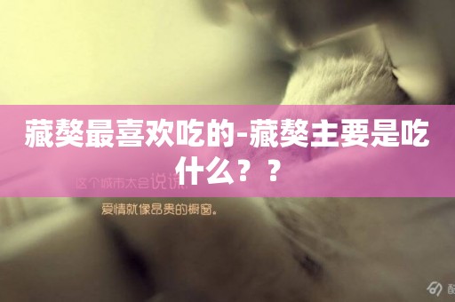 藏獒最喜歡吃的-藏獒主要是吃什么？？