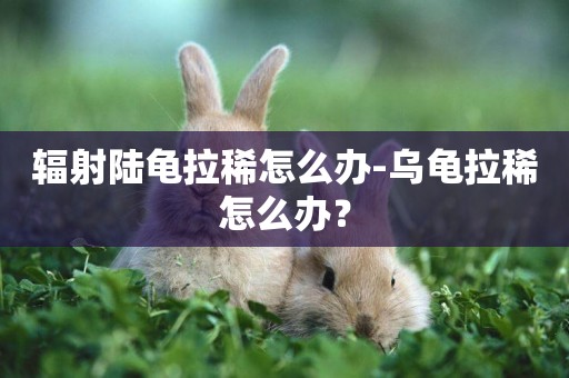 輻射陸龜拉稀怎么辦-烏龜拉稀怎么辦？