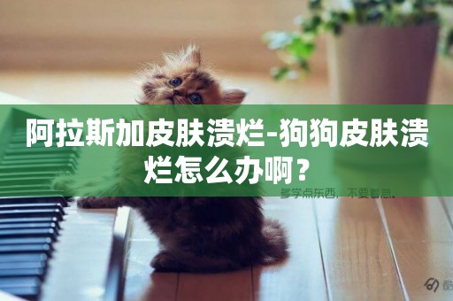 阿拉斯加皮膚潰爛-狗狗皮膚潰爛怎么辦啊？
