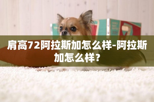 肩高72阿拉斯加怎么樣-阿拉斯加怎么樣？
